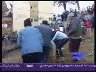 Algerie,Mouton, l'aid,elkebir