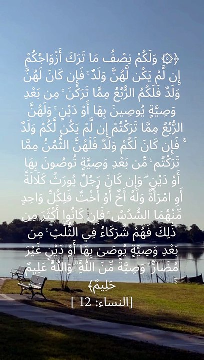 Surah An-Nisa Ayah 12 highlights the Islamic law of inheritance, emphasizing fairness, responsibility, and obedience to Allah's commands. #SurahNisa #QuranVerse #Quran412 #IslamicInheritance #IslamicLaw #QuranStudy #Islam #Muslim #IslamicEducation #Faith