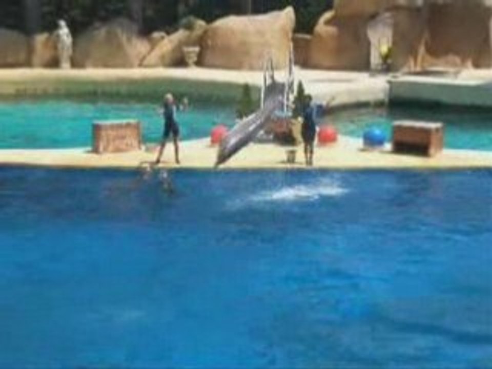 Marineland !