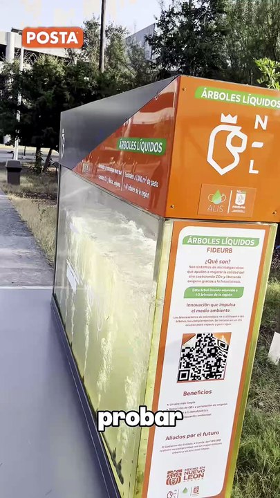 Nuevo León instala su primer árbol líquido: cómo funciona, para qué sirve y por qué no reemplaza a un árbol natural