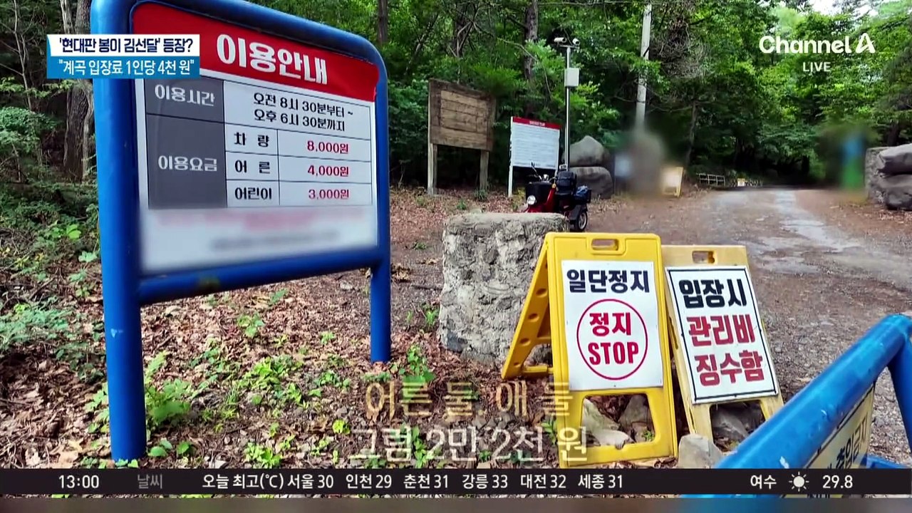 ‘현대판 봉이 김선달’ 등장?…“계곡 입장료 1인당 4천 원”