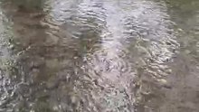 Confluent de la Bèfve et de la Berwinne