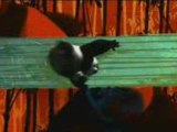 kung Fu Panda - extrait long exclusif !