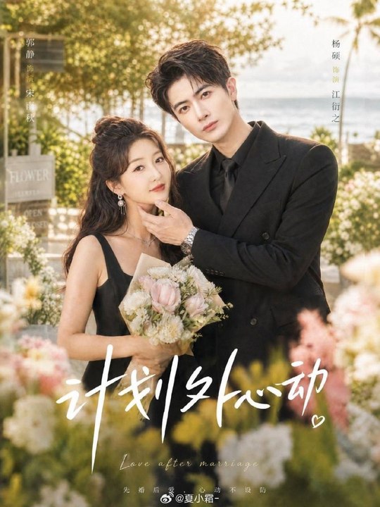 Unplanned Heartbeat- Drama Movie English Sub