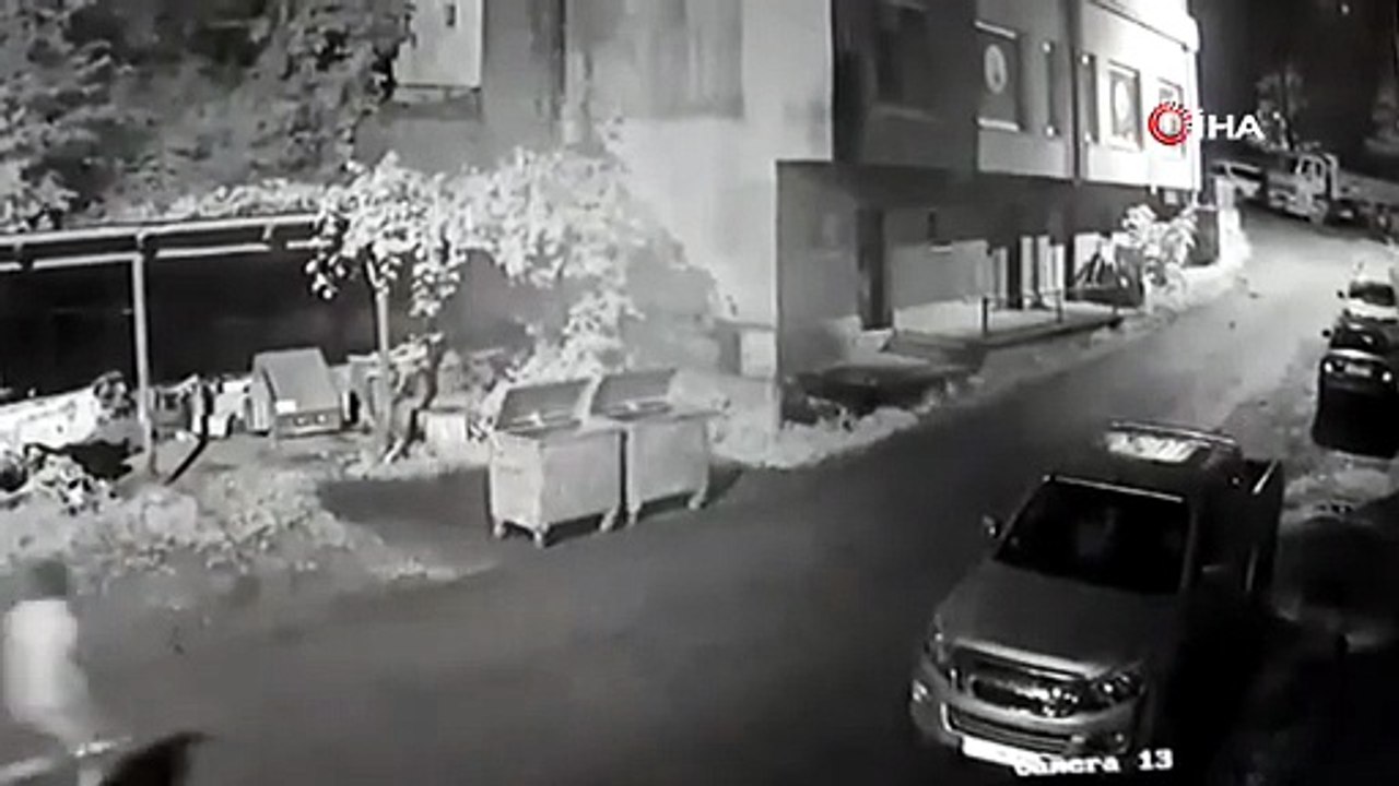 Rize’de vatandaşı ayı kovaladı, o anlar kameraya yansıdı