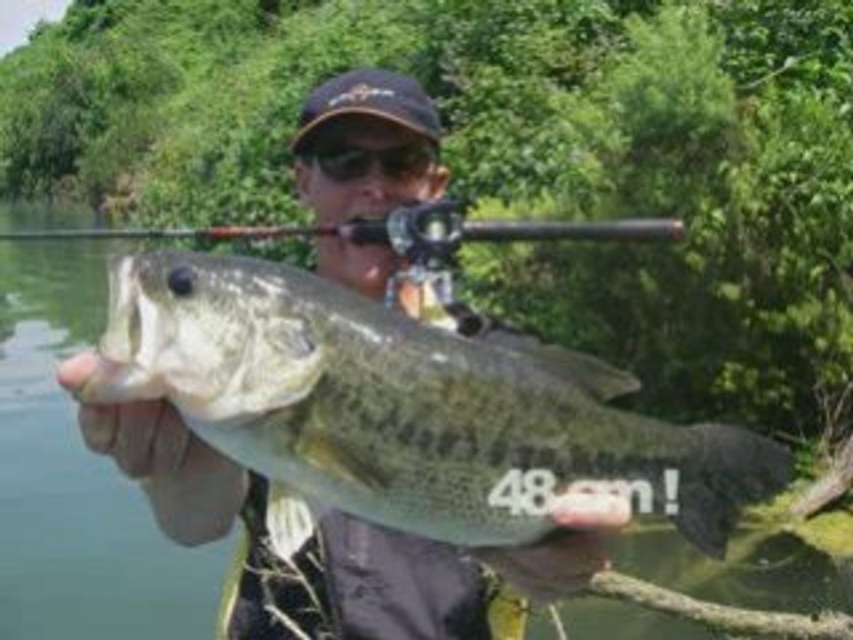 Sessions peche juin 2008