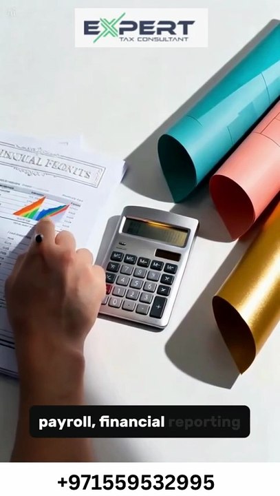 Accounting Services Sheikh Zayed Road  Dubai