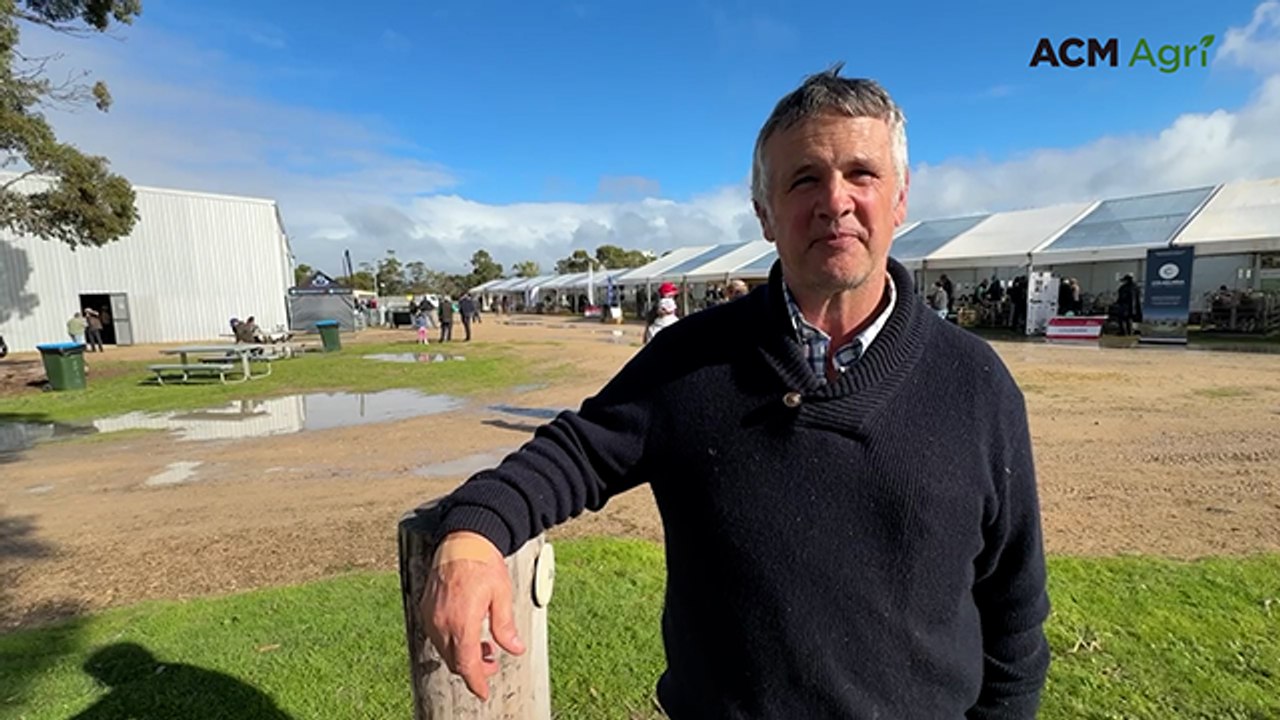 From drought to optimism: South East Merino breeders report surging producer confidence