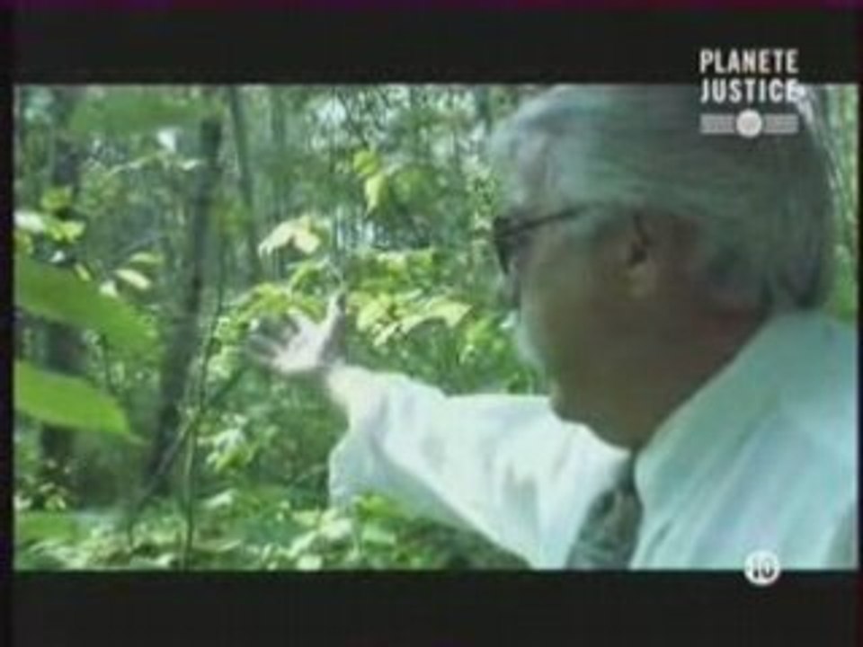 Reportage 1.2 Piége funébre en forêt (72h chrono)