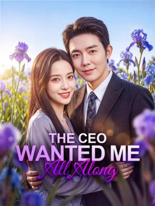 The CEO Wanted Me All Along Série Completa Português