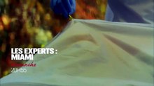 Les experts : Miami