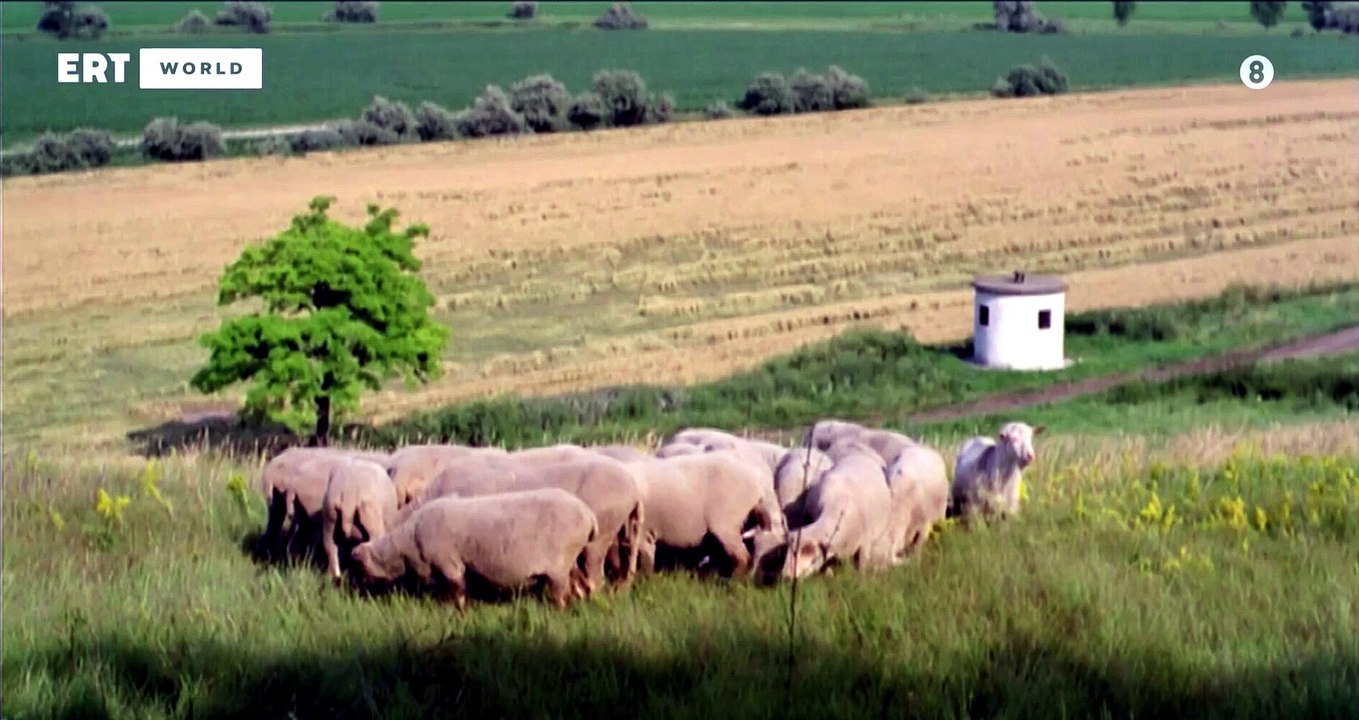 Καλή πατρίδα σύντροφε (1986)
