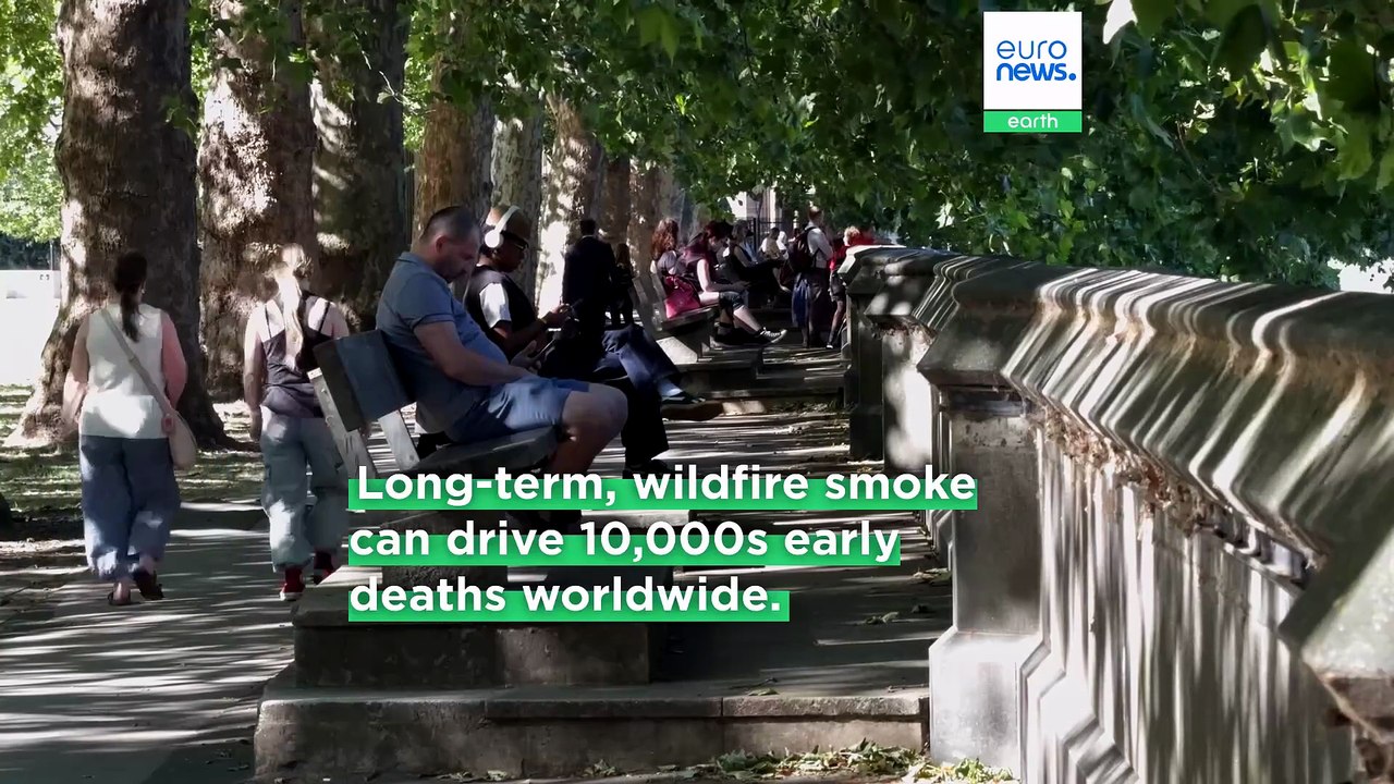Wildfire smoke is crossing borders as climate change intensifies Europe's blazes