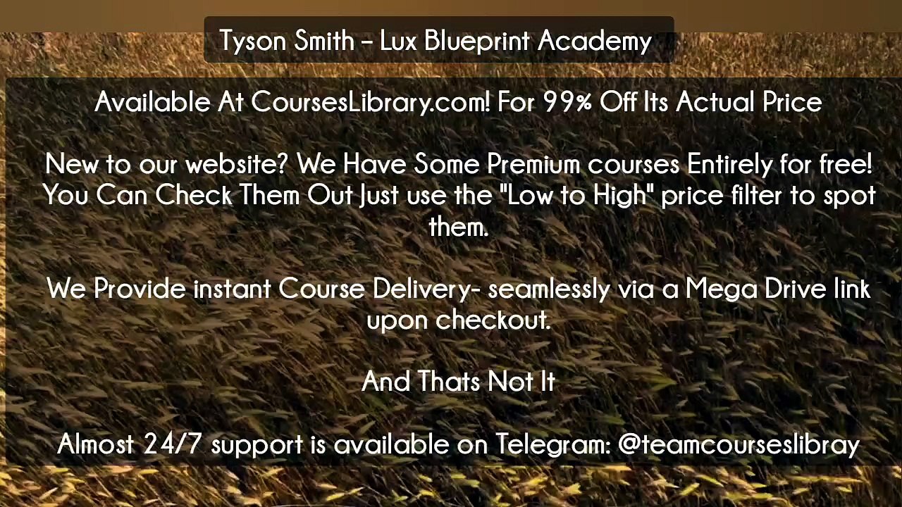 (Courseslibrary.com)Tyson Smith – Lux Blueprint Academy