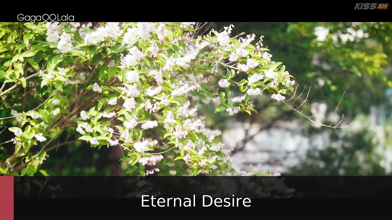 Love in Protocol (2026) Episode Full | Eternal Desire