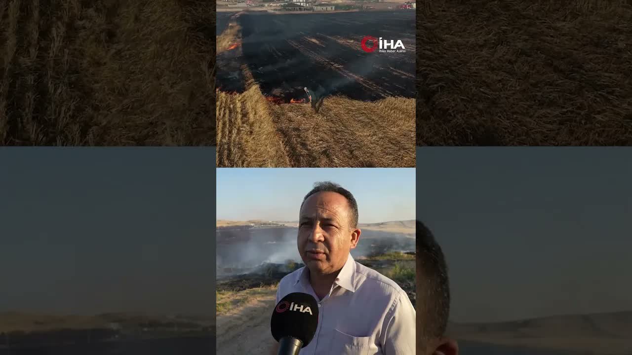 Bir anlık ihmal yüzlerce dönümü yaktı!