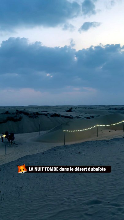 LA NUIT TOMBE dans le désert dubaïote
