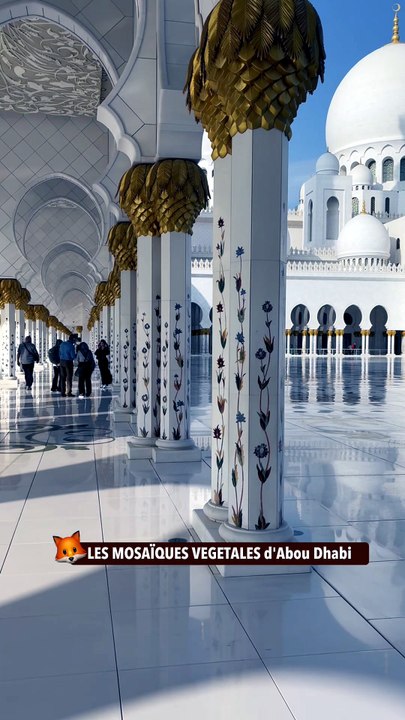 LES MOSAÏQUES VEGETALES d'Abou Dhabi