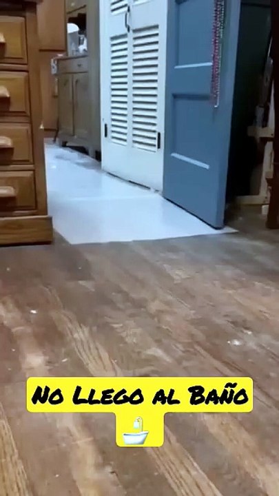 🤣_El_Pato_más_Apurado_del_Mundo😅_La_Divertida_Carrera_al_Baño_🛁_🧻#pato_#Pato_#Humor_