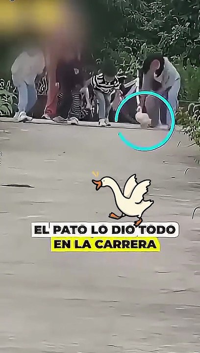 Flyin mode🦆😂