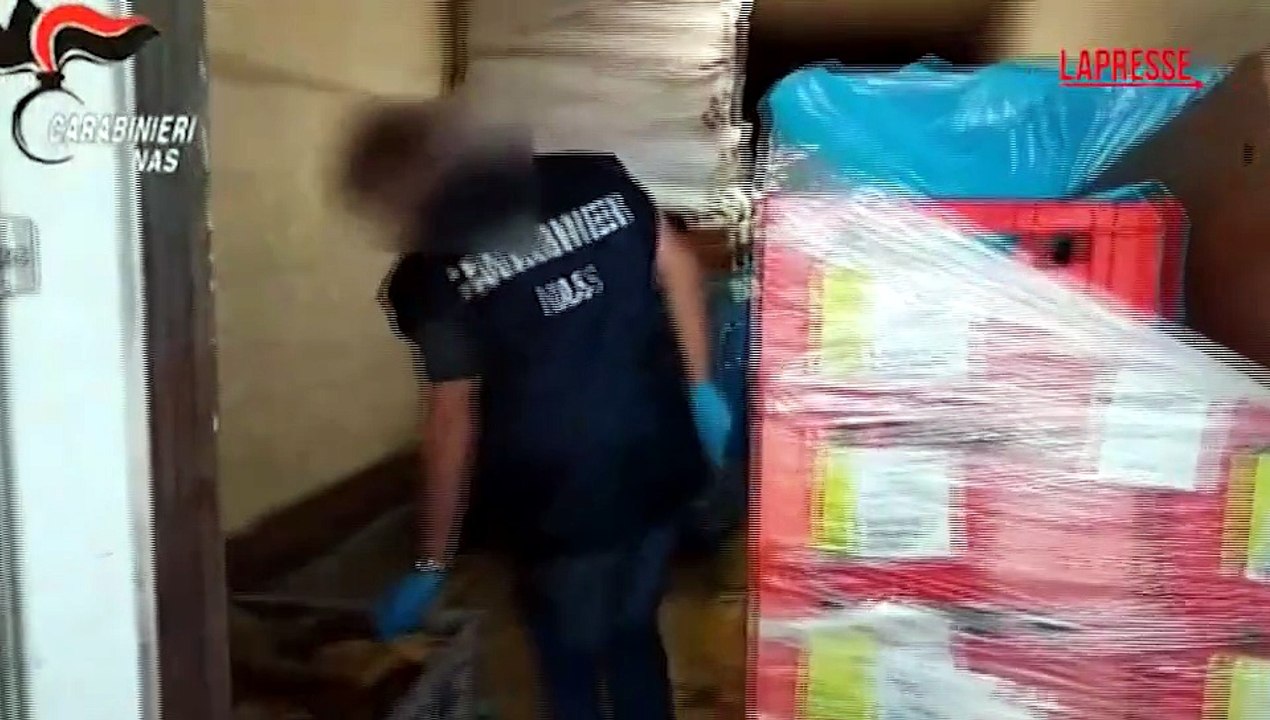 Controlli NAS sul pet food: sequestri per 1,7 milioni