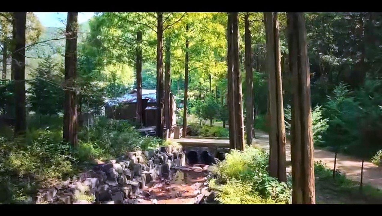 NADIE EN EL BOSQUE (2024) Trailer - SPANISH [Full Movie]