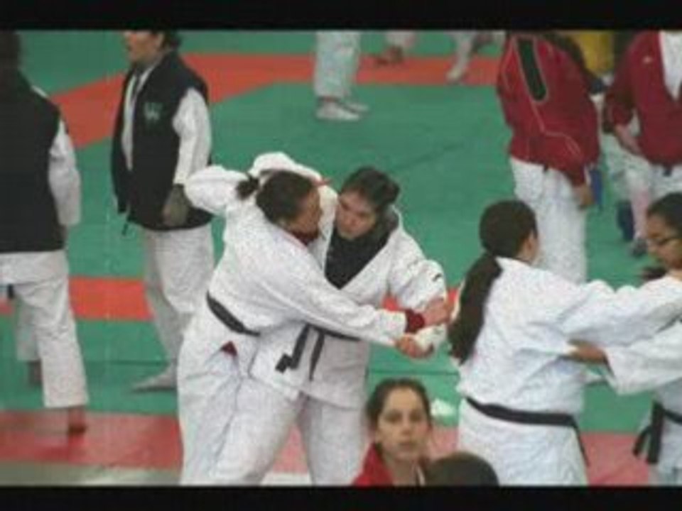 Video judo