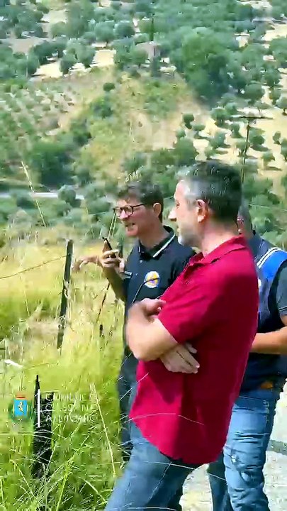 Incendi, emergenza al capolinea a Cassano: tutti i dettagli nell’aggiornamento del Sindaco Gianpaolo Iacobini