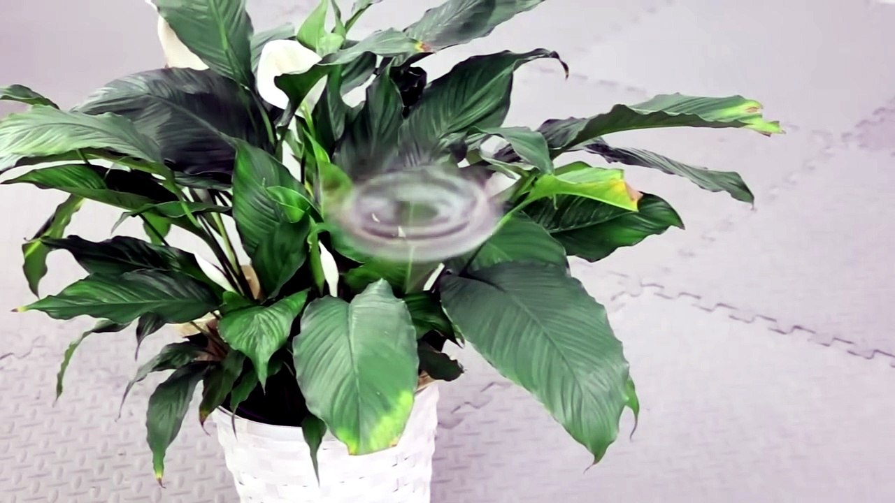 Un Drone invisible
