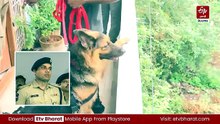 కరీంనగర్​లో భారీ చోరీ - వృద్ధులను కొట్టి 66 తులాల బంగారం, రూ.20 లక్షల నగదు ఎత్తుకెళ్లిన దొంగలు