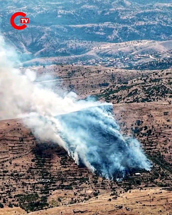 Afyonkarahisar'da orman yangını