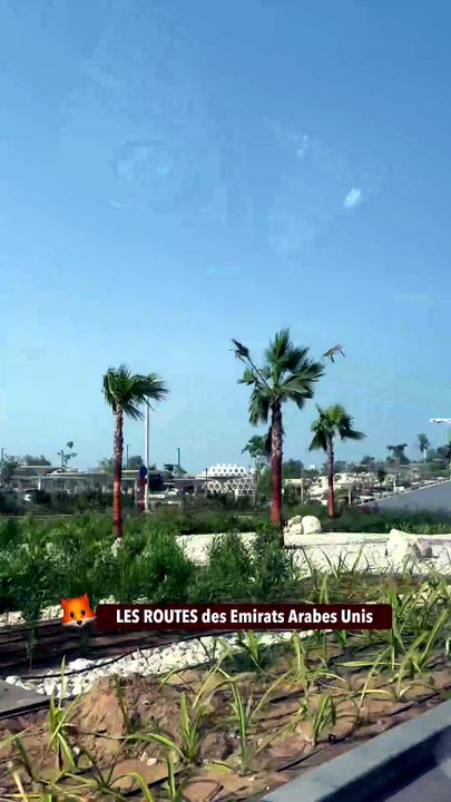 LES ROUTES des Emirats Arabes Unis