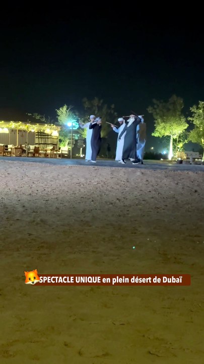 SPECTACLE UNIQUE en plein désert de Dubaï