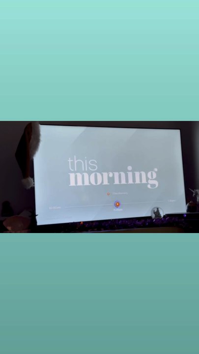 This morning 2026