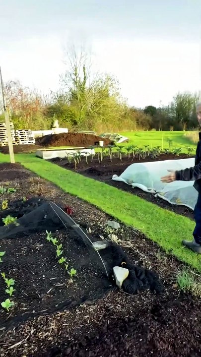 À quoi ressemblent les légumes qui passent l’hi...