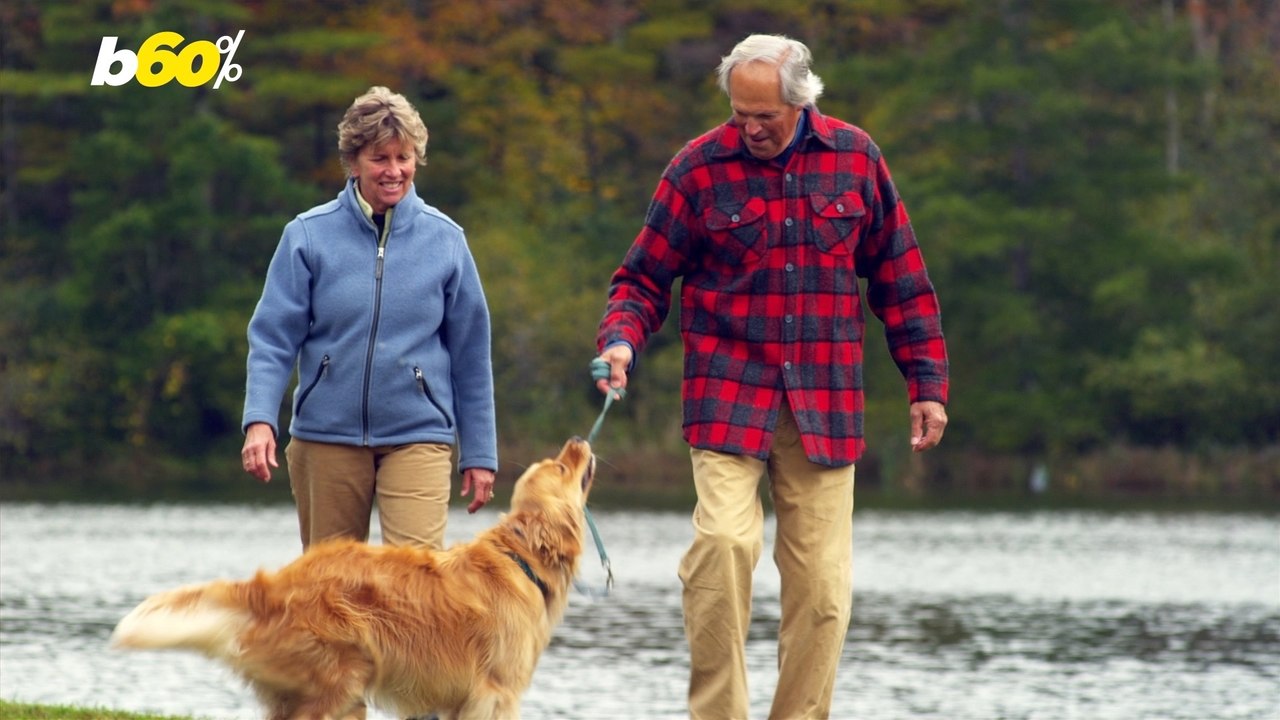 Summer Pet Care: Do Pets Need Extra Attention?
