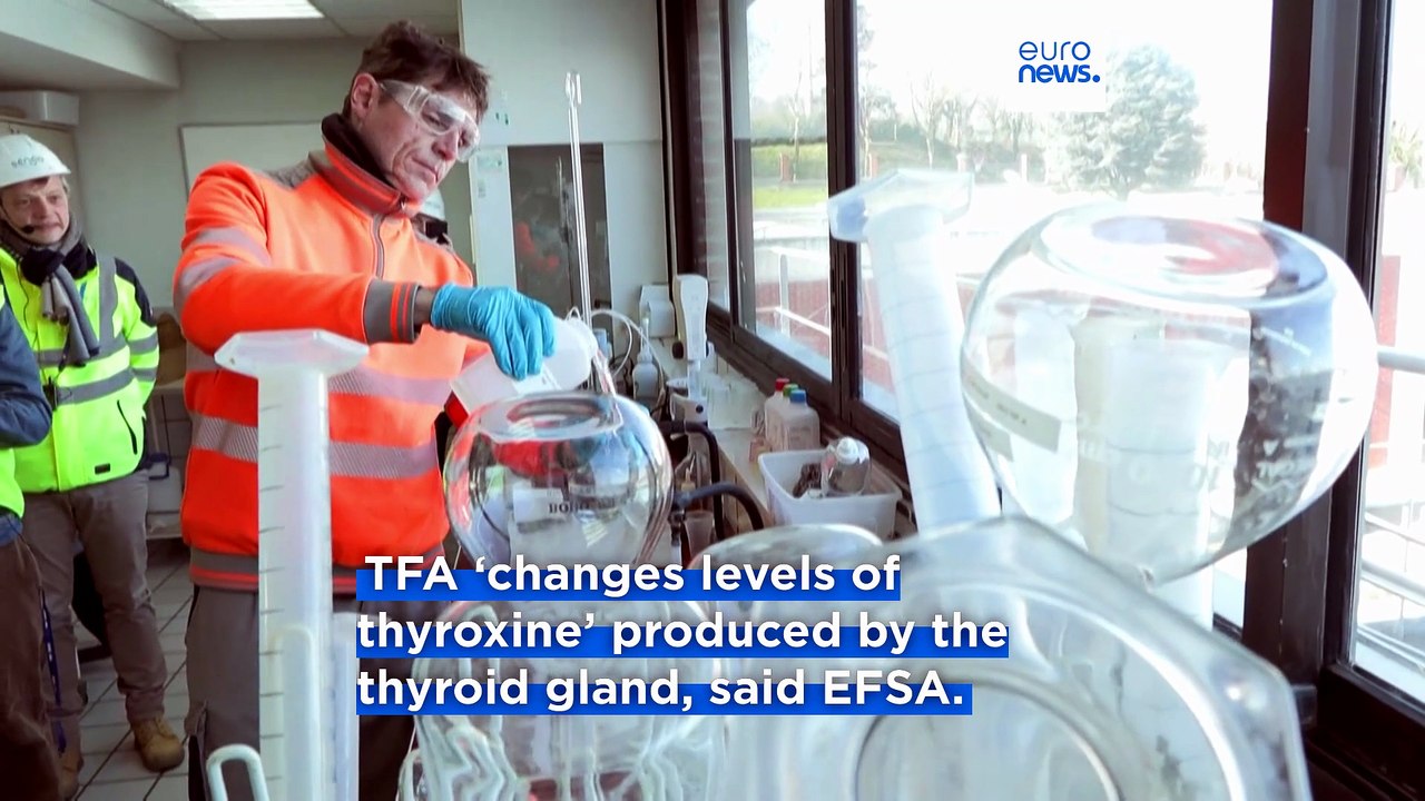 EU's food safety agency reduces safe daily intake level of 'forever chemical' TFA