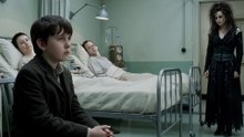 What If Bellatrix Raised Neville Longbottom? I Raised by the Dark