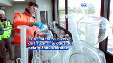 Agência europeia de segurança alimentar reduz dose diária segura do "químico eterno" TFA