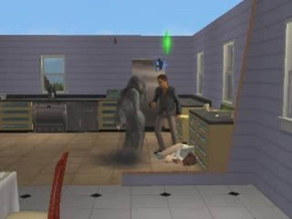 sims2