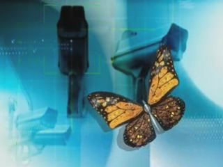 Rules of Deception - Trailer 2