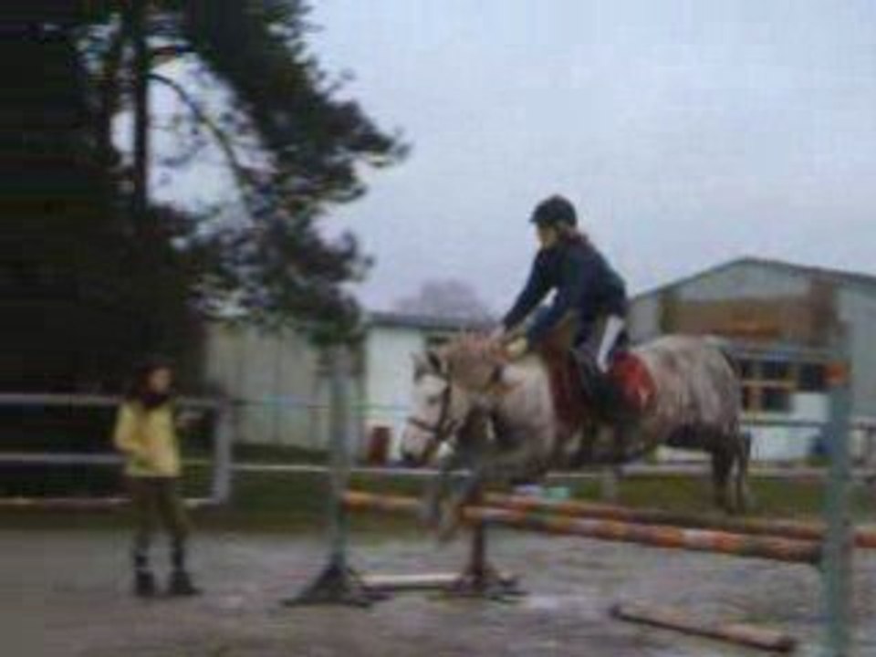 HPIM6831