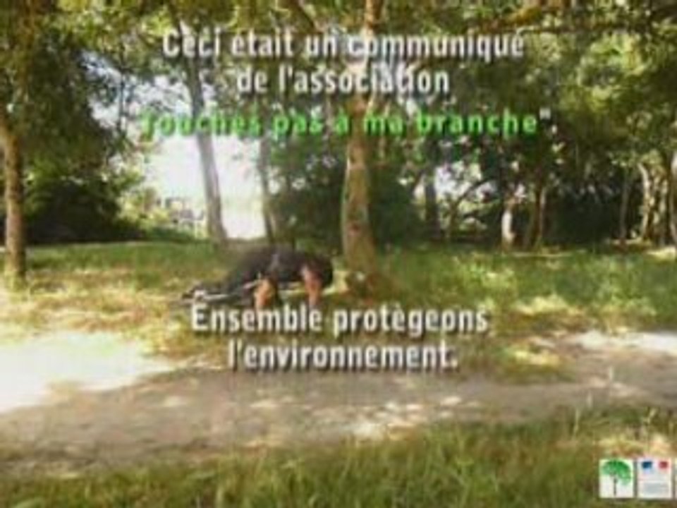 L'alcool et les arbres....