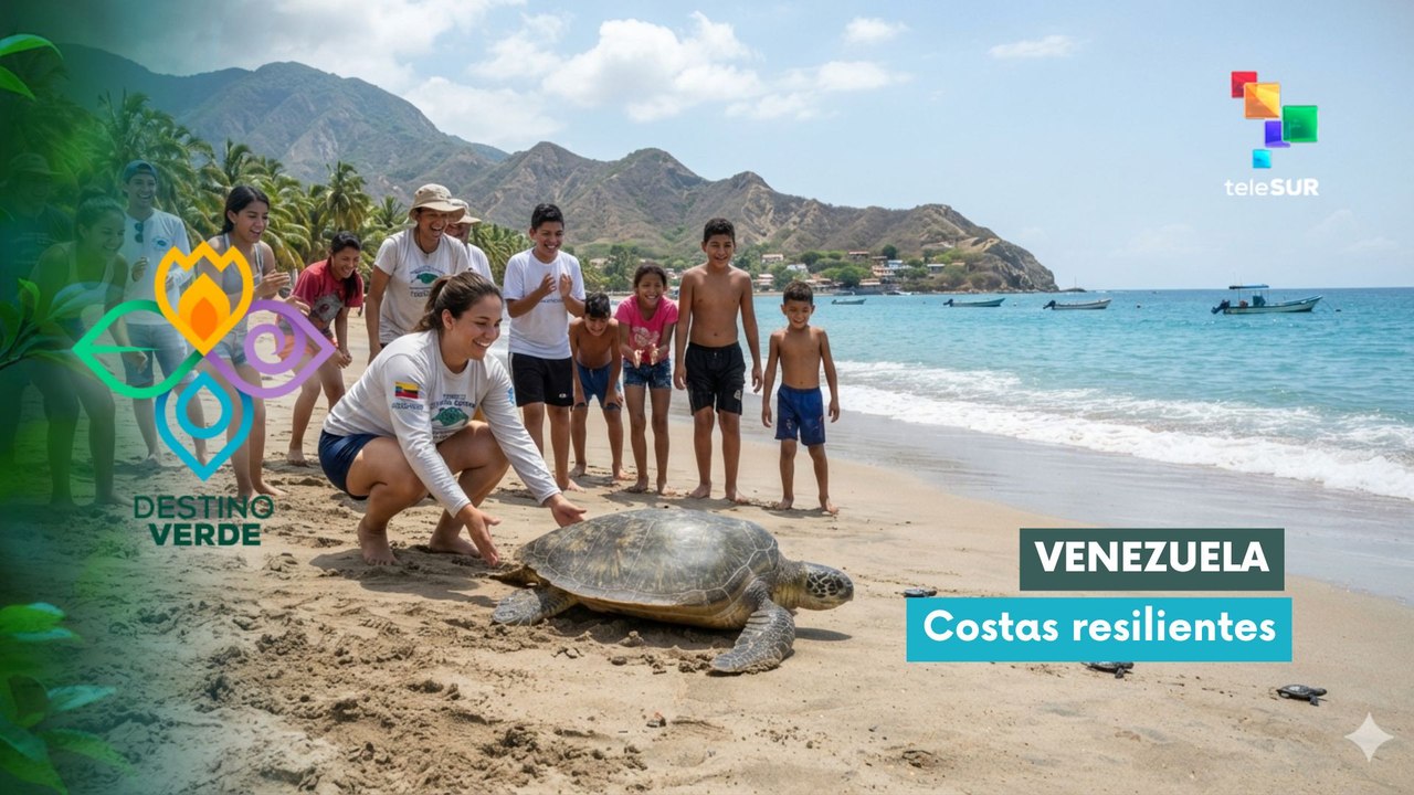 Destino Verde | Venezuela | Costas resilientes