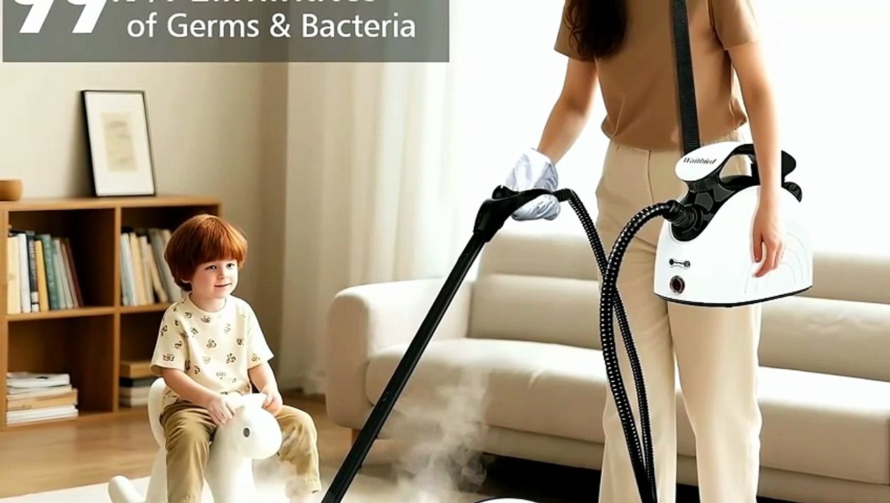 Waitbird Steam Cleaner for Home, Handheld Steamer for Home Cleaning Full Review & Test