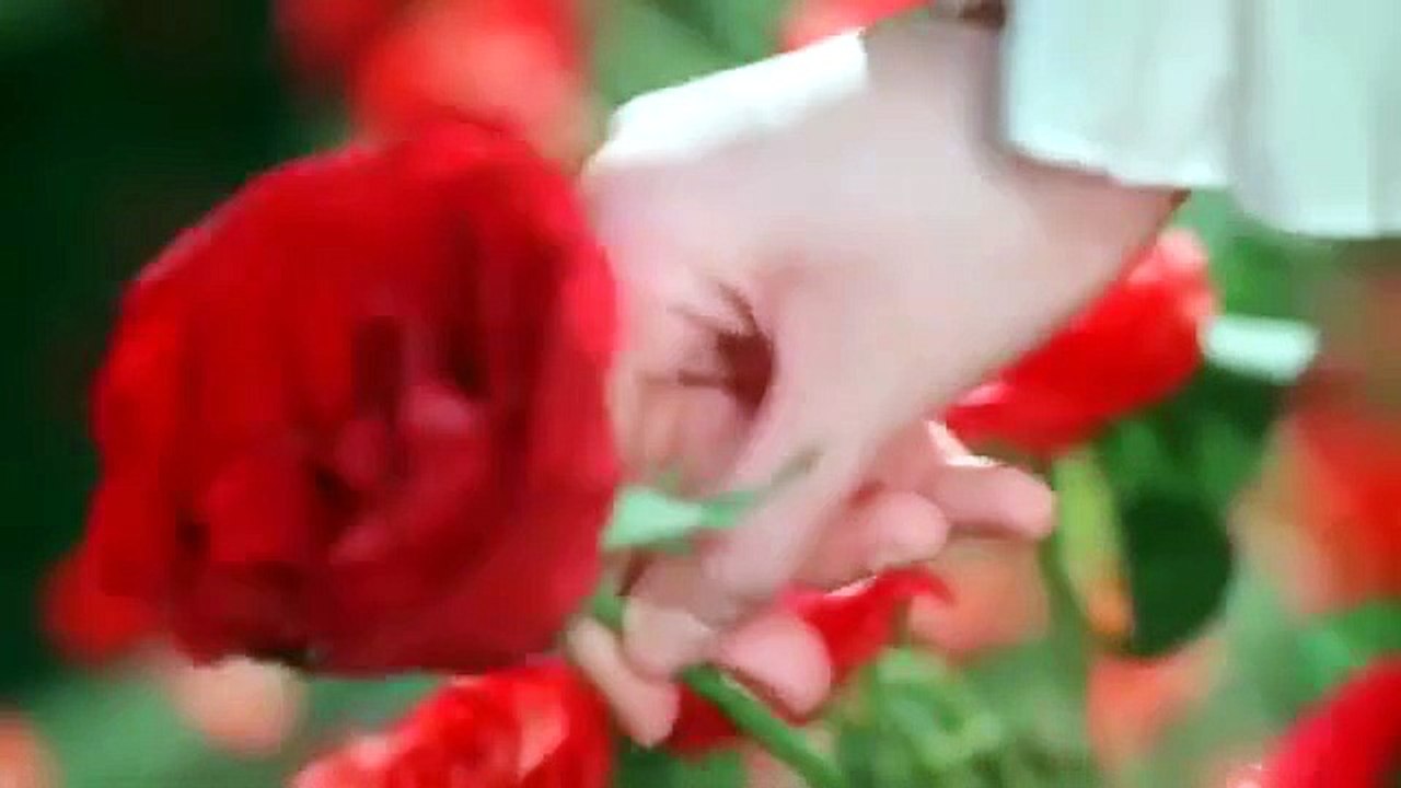 Best C dama romantic movies with happy ending movie Falling For Mr_s Secret_Full Movie_Hindi Dub [Full Movie]
