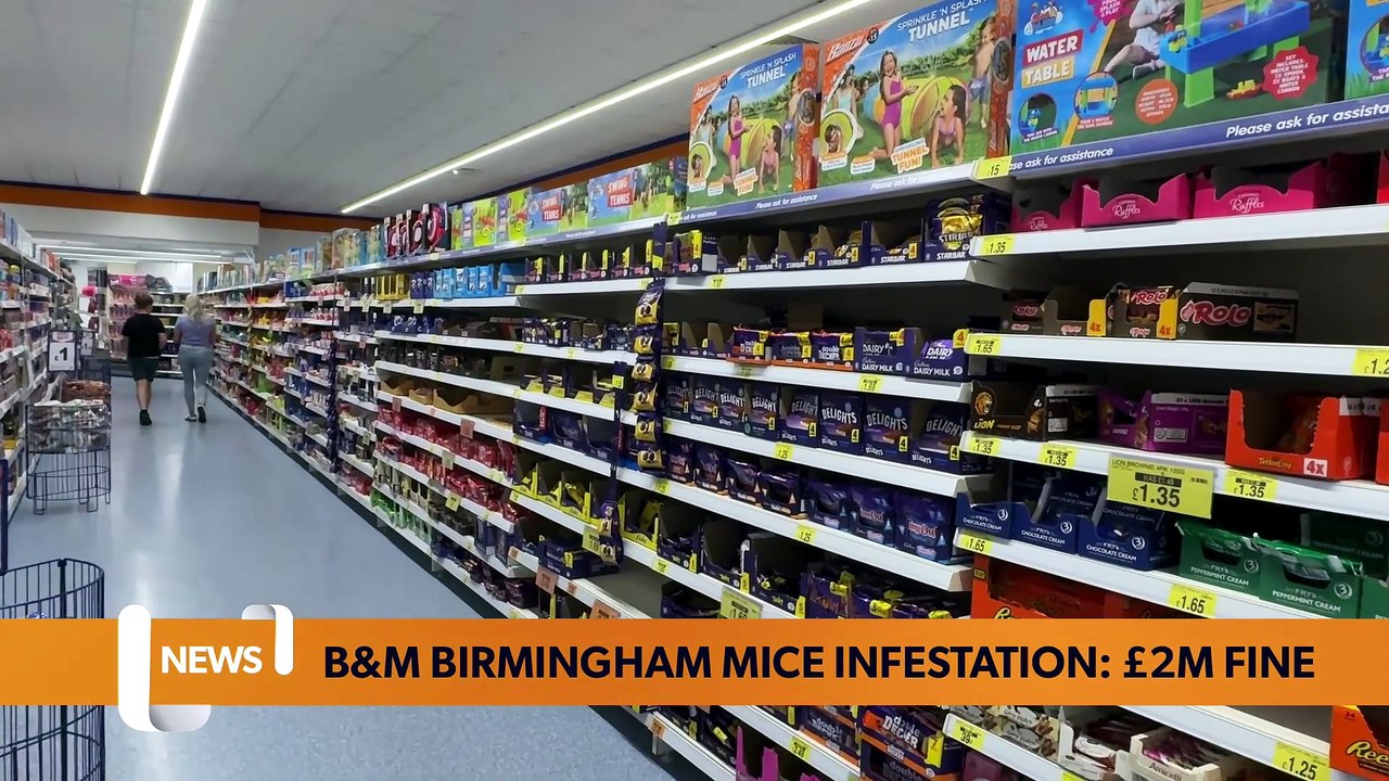 B&M fined two million pounds after mice found in three Birmingham stores