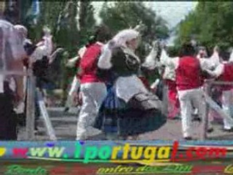 Festa Estrelas Douradas ( roubadas ) Versailles - folclore -