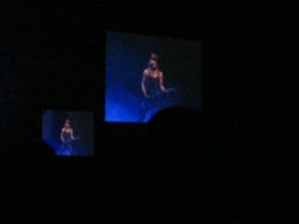 Miyavi concert jap'expo