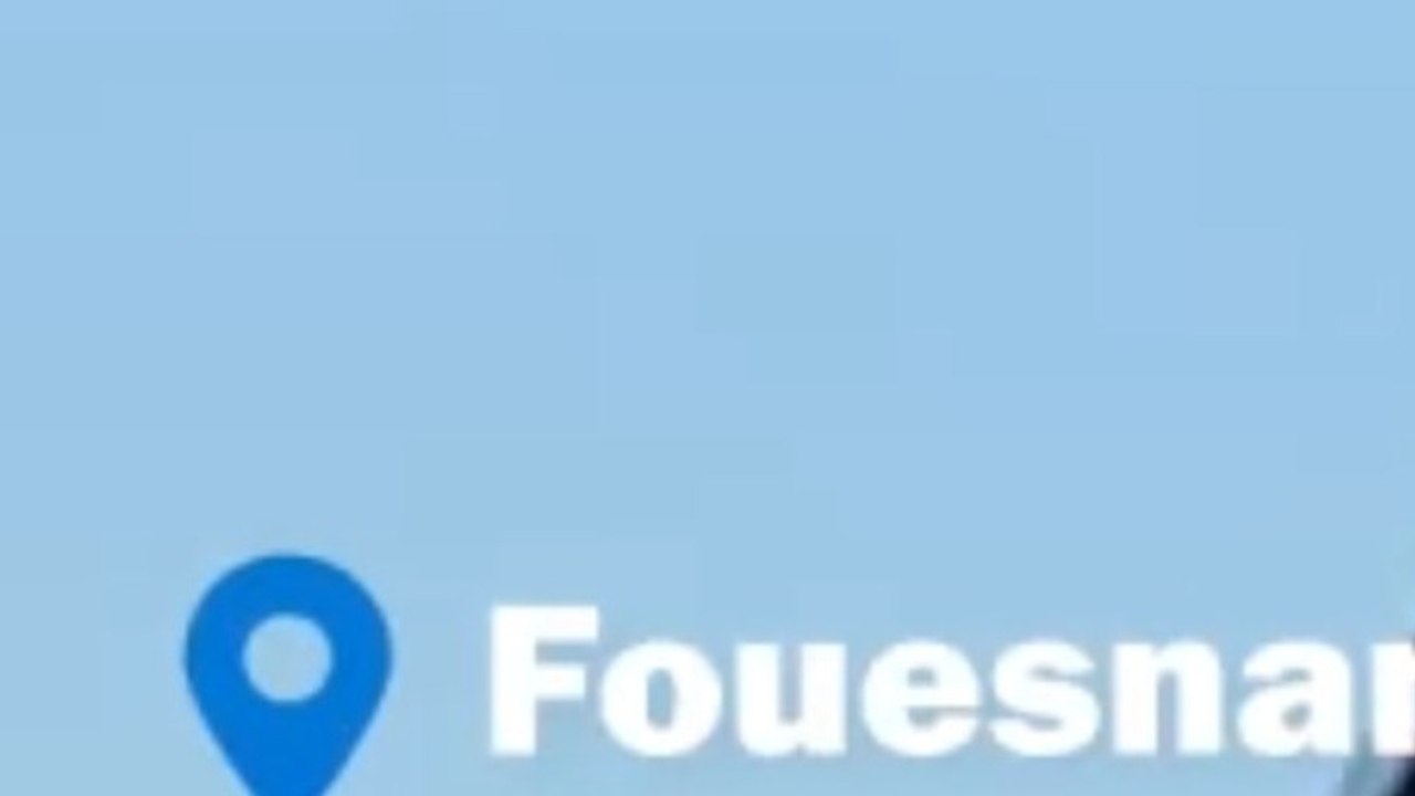 Que faire en cas de piqûre de vive ou de méduse sur la plage ?